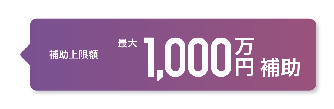補助上限額 最大1,000万円補助