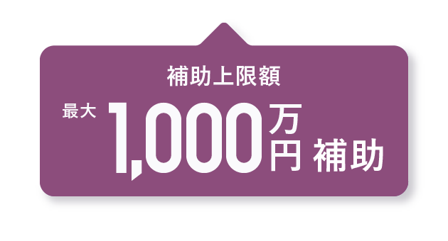 補助上限額 最大1,000万円補助